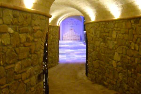 'Tuscan Wine Tour' - Full day