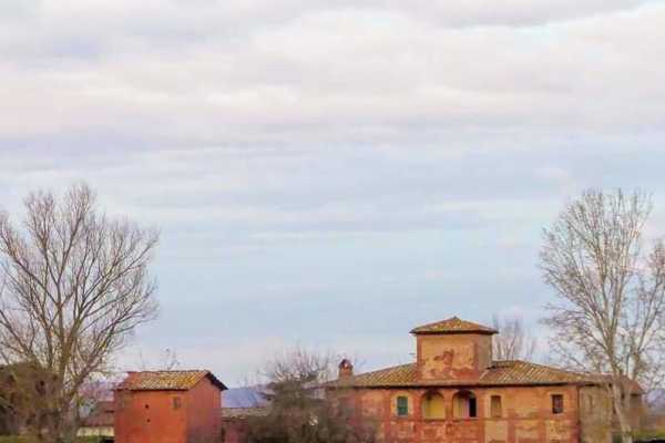 'Tuscan Wine Tour' - Full day