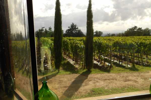 'Tuscan Wine Tour' - Full day