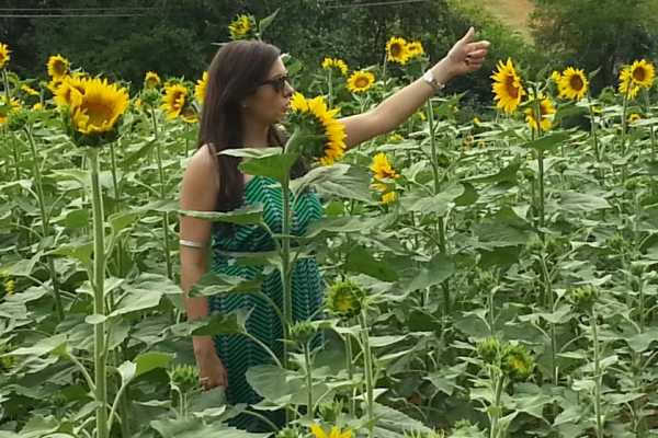 'Tuscan Wine Tour' - Full day