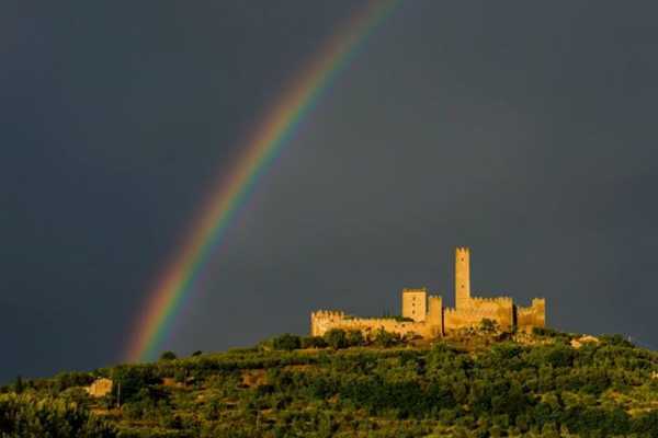 'Tuscan Wine Tour' - Full day