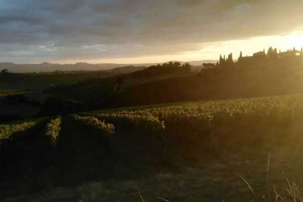 'Tuscan Wine Tour' - Full day