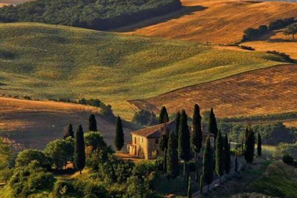 'Tuscan Wine Tour' - Full day