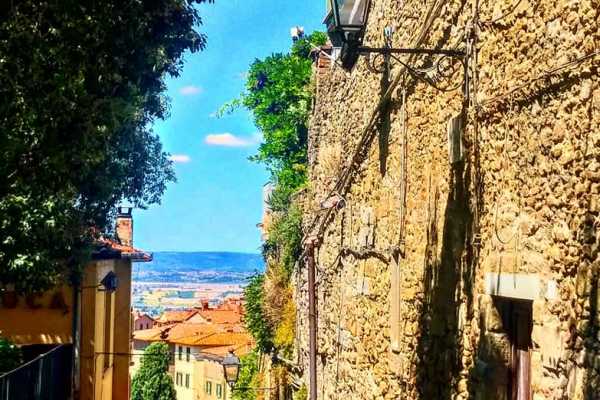 'Tuscan Wine Tour' - Full day