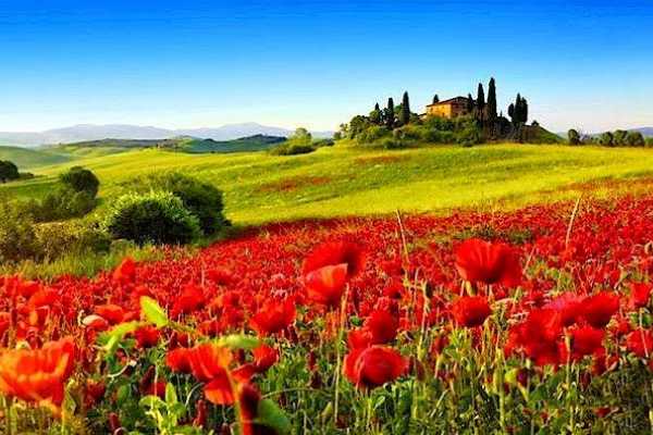 'Tuscan Wine Tour' - Full day