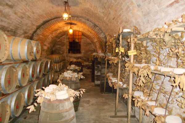 'Tuscan Wine Tour' - Full day