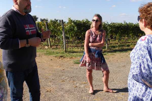 'Tuscan Wine Tour' - Full day
