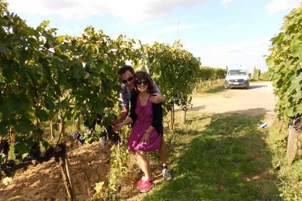 'Tuscan Wine Tour' - Full day