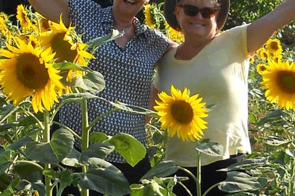 'Tuscan Wine Tour' - Full day