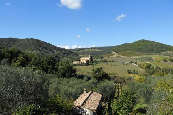 'Tuscan Wine Tour' - Full day