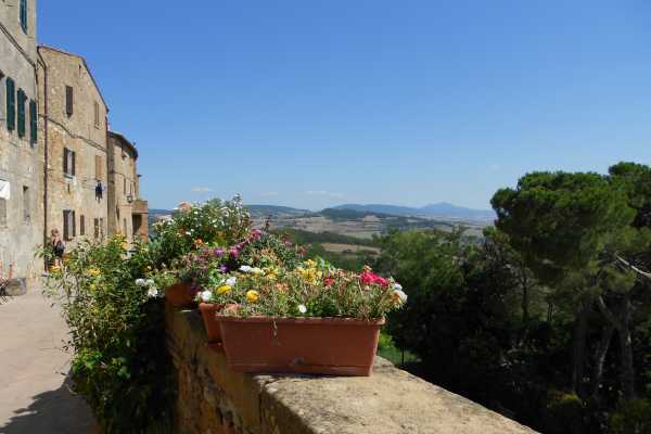 'Tuscan Wine Tour' - Full day