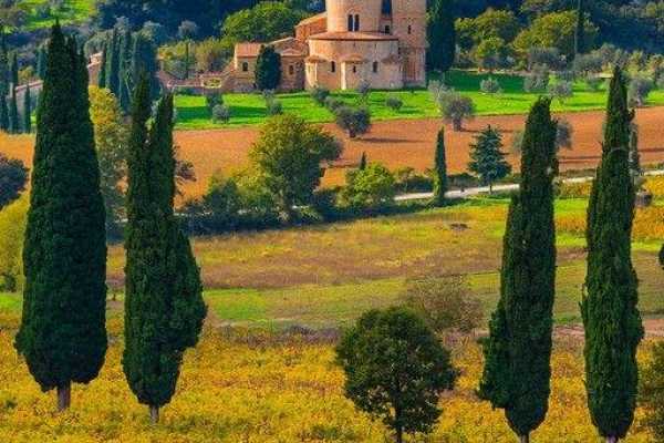 'Tuscan Wine Tour' - Full day