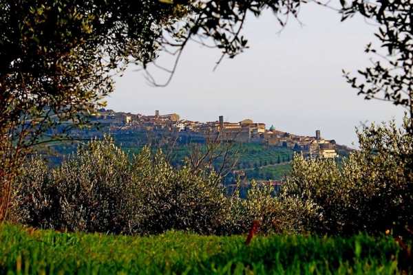 'Tuscan Wine Tour' - Full day