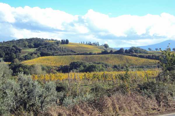 'Tuscan Wine Tour' - Full day