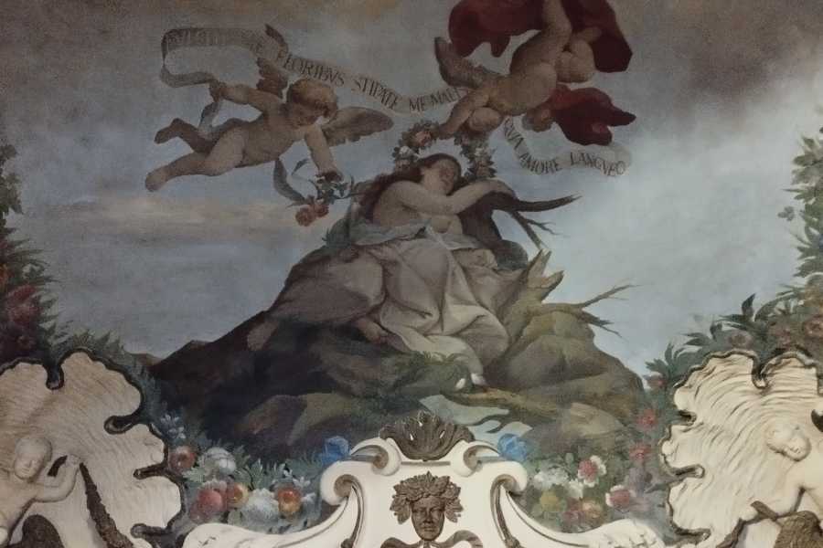 Bologna Welcome - eXtraBo Palazzo Miti Zagnoni Raffi  - A journey among villas and castles
