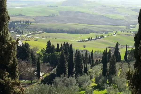 Hd 'Tuscan Wine Tour'