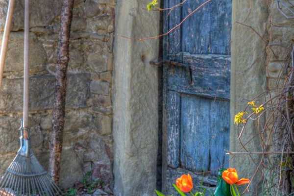 Wine Tour 'Following Wine Roads'  half day