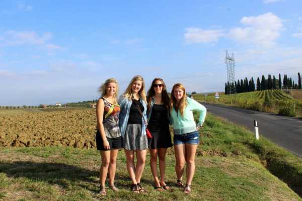 Wine Tour 'Following Wine Roads'  half day