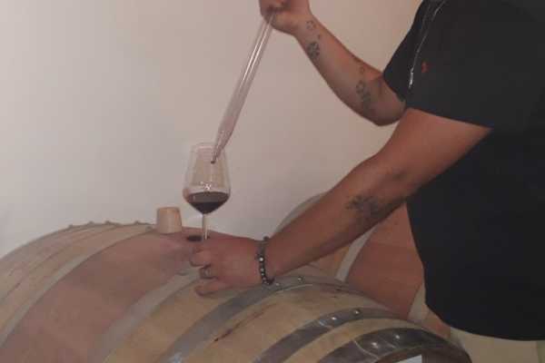 Wine Tour 'Following Wine Roads'  half day