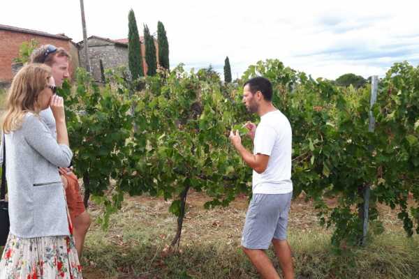 Wine Tour 'Following Wine Roads'  half day