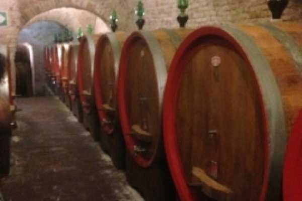 Wine Tour 'Following Wine Roads'  half day
