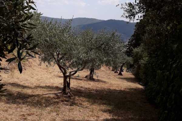 Wine Tour 'Following Wine Roads'  half day