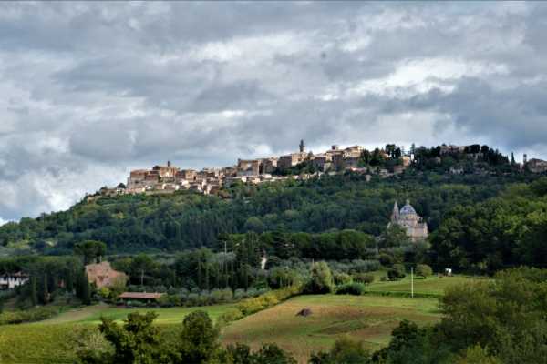 Wine Tour 'Following Wine Roads'  half day