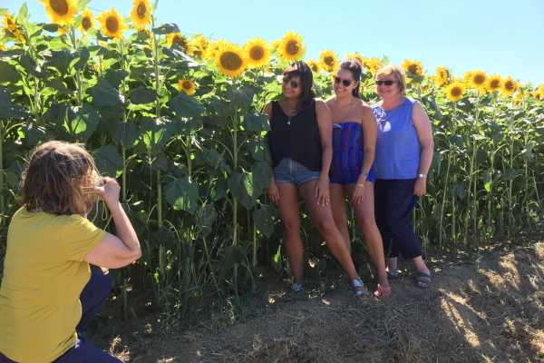 Wine Tour 'Following Wine Roads'  half day