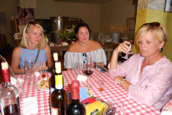 Wine Tour 'Following Wine Roads'  half day