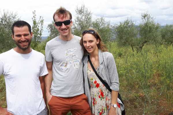 Wine Tour 'Following Wine Roads'  half day
