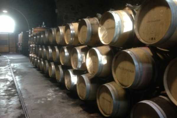 Wine Tour 'Following Wine Roads'  half day