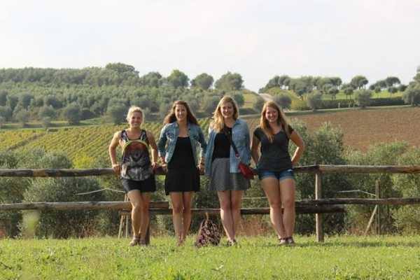 Wine Tour 'Following Wine Roads'  half day