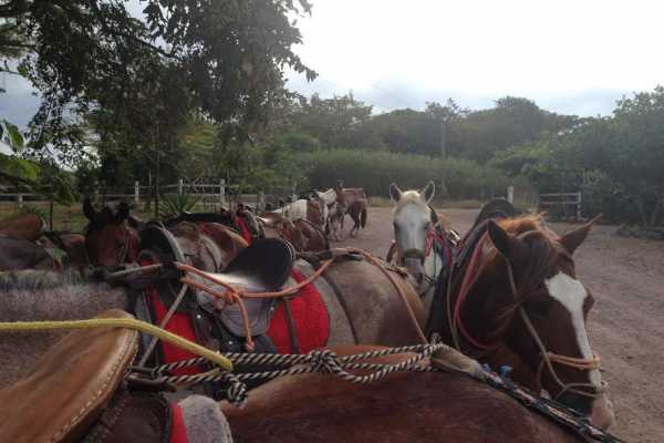 Gourmet Ranch BBQ and ATV Tour Combo