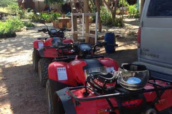 Gourmet Ranch BBQ and ATV Tour Combo