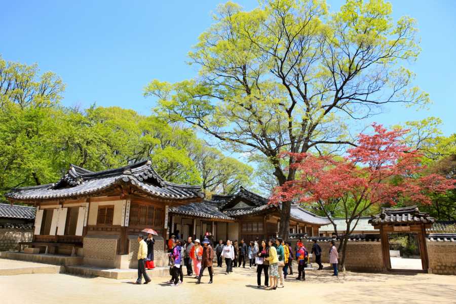 KD 06 Secret Garden & National Museum Tour Kim's M&T DMC Korea Your