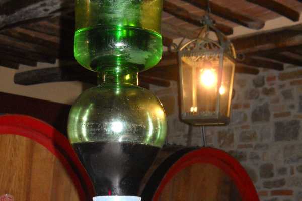 Hd 'Wine and Cheese Tour'.On Tuscan back roads