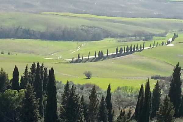 Hd 'Wine and Cheese Tour'.On Tuscan back roads