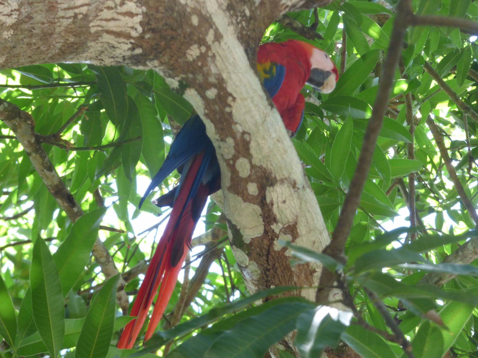 Palo Verde National Park Tour, Guanacaste, Costa Rica to