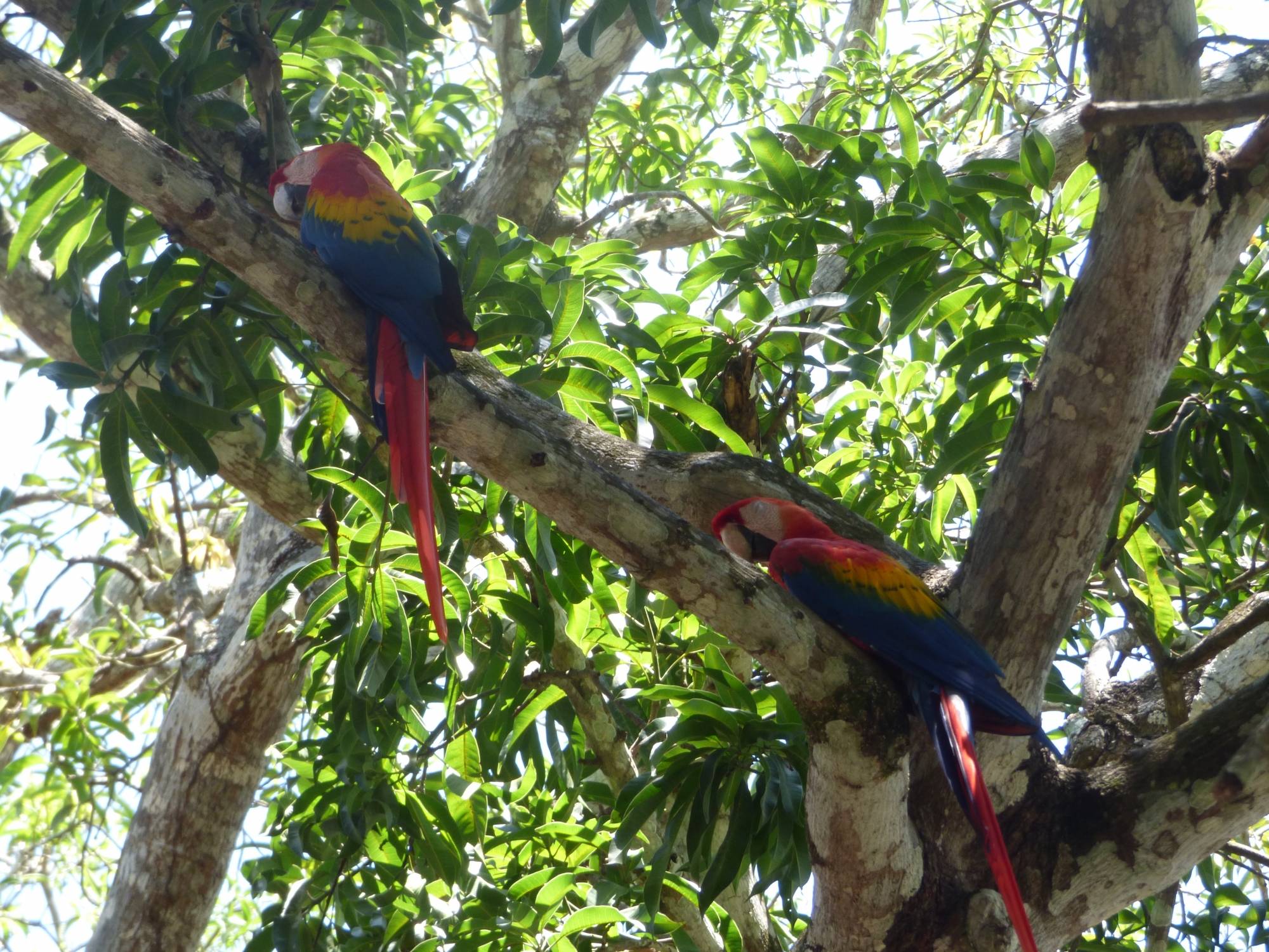 Palo Verde National Park Tour, Guanacaste, Costa Rica to