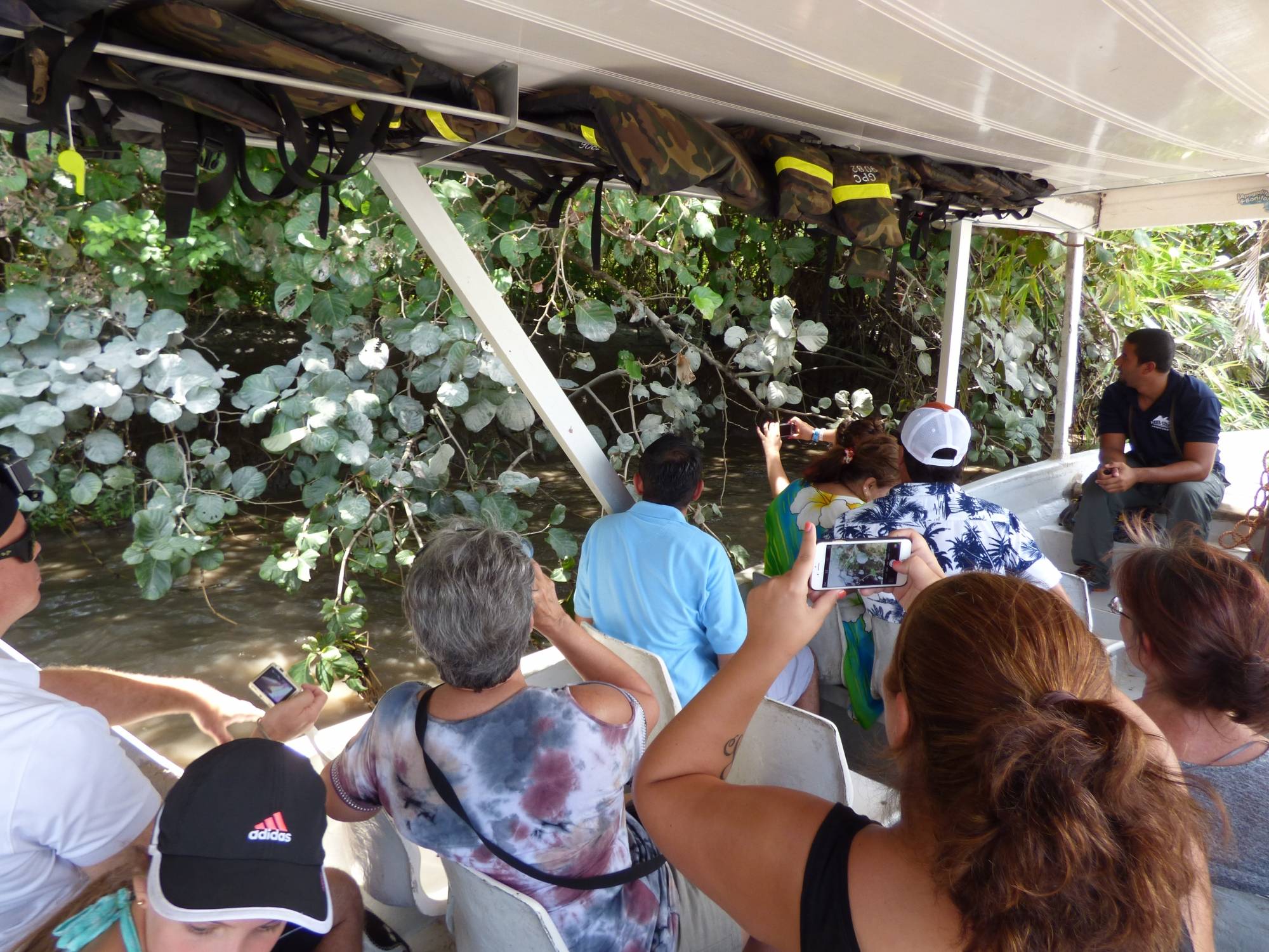 Palo Verde National Park Tour, Guanacaste, Costa Rica to