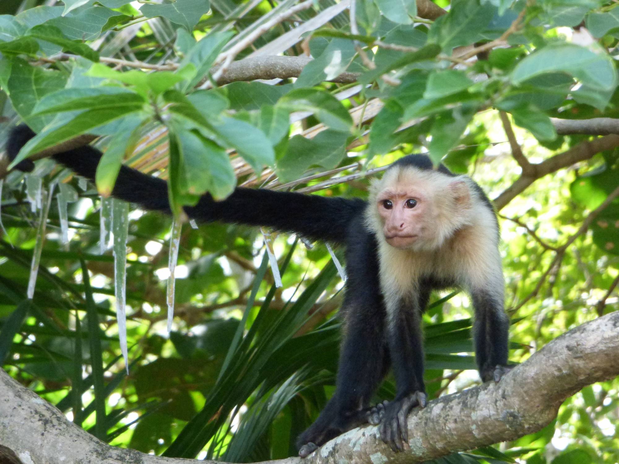 Palo Verde National Park Tour, Guanacaste, Costa Rica to