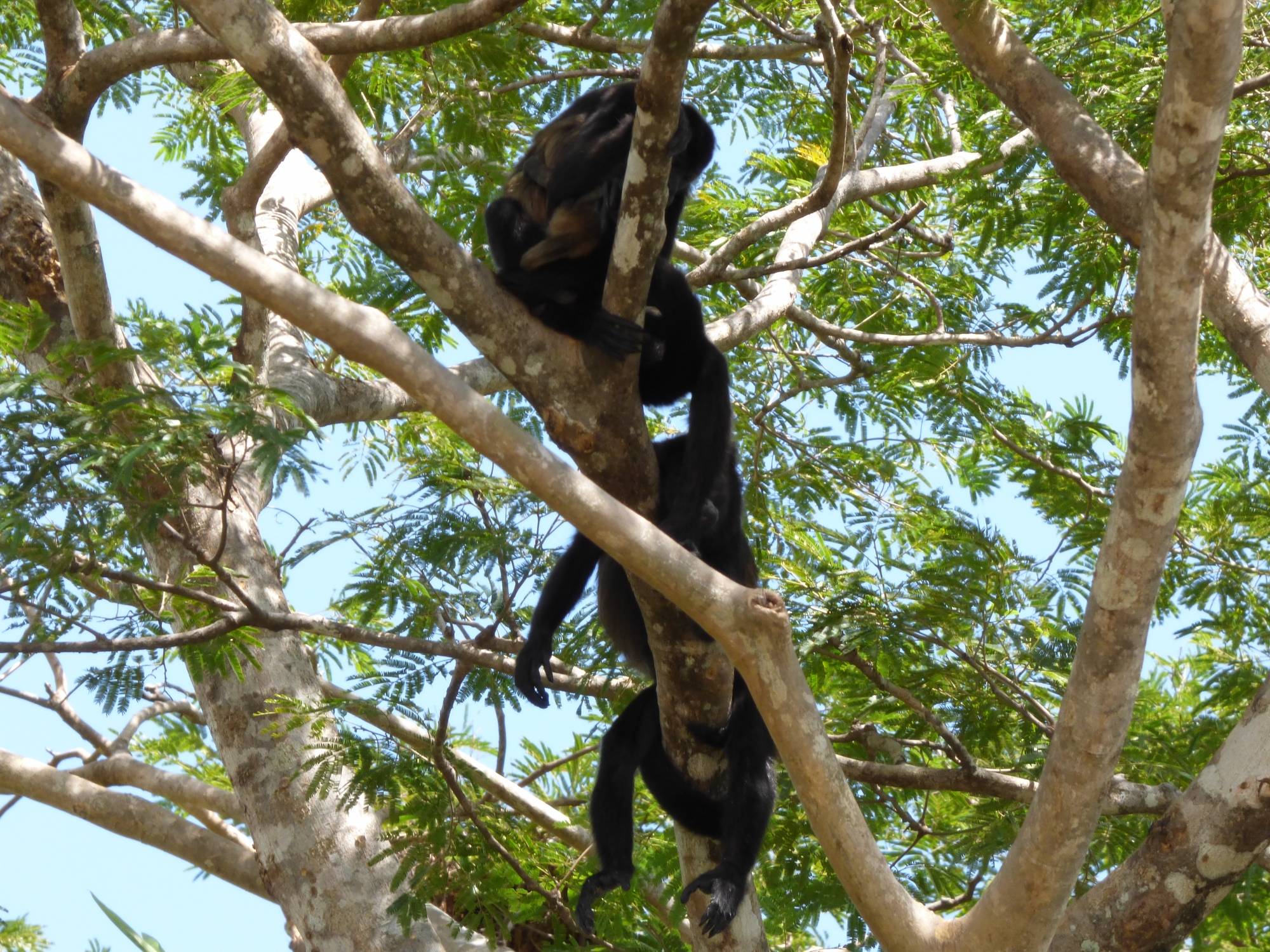 Palo Verde National Park Tour, Guanacaste, Costa Rica to