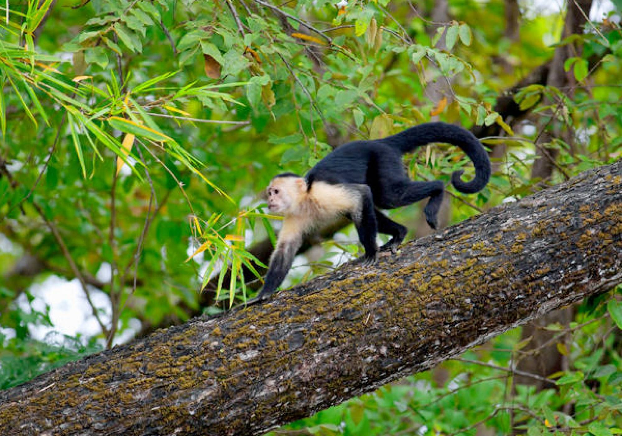 Palo Verde National Park Tour, Guanacaste, Costa Rica to