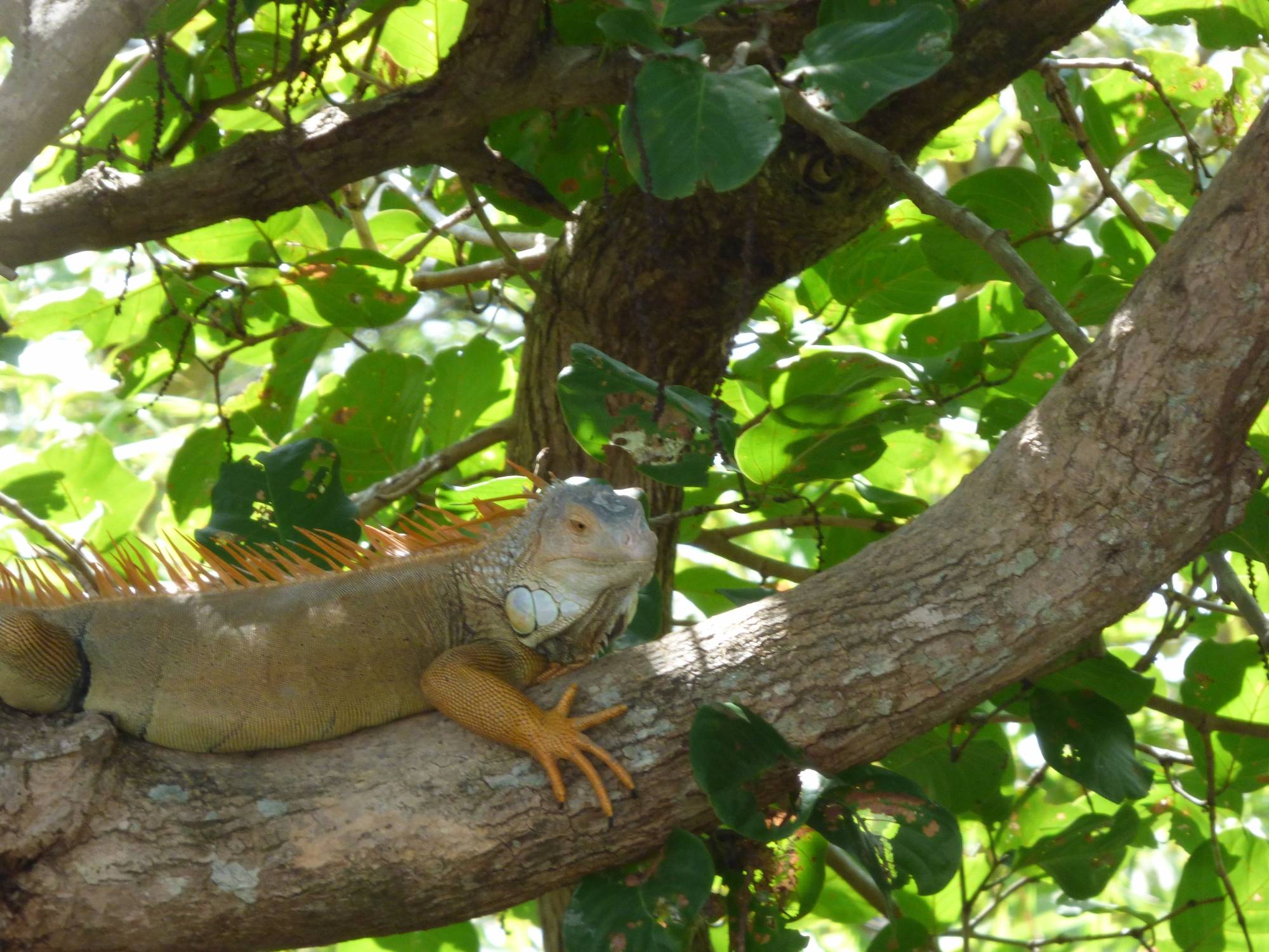 Palo Verde National Park Tour, Guanacaste, Costa Rica to