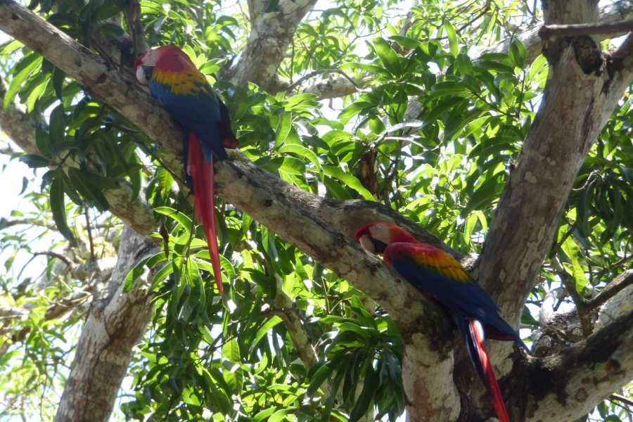 Palo Verde National Park Tour, Guanacaste, Costa Rica to