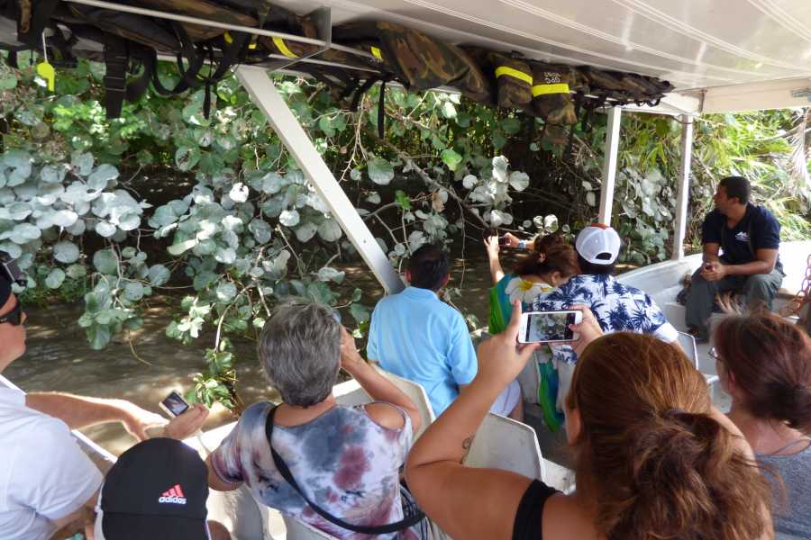 Palo Verde National Park Tour, Guanacaste, Costa Rica to