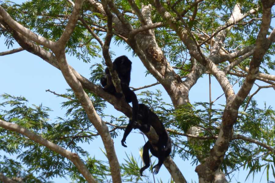 Palo Verde National Park Tour, Guanacaste, Costa Rica to