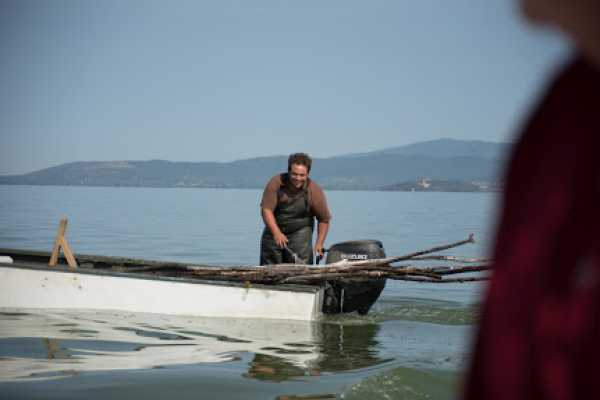 Hd 'Island  Maggiore and Lake Trasimeno'
