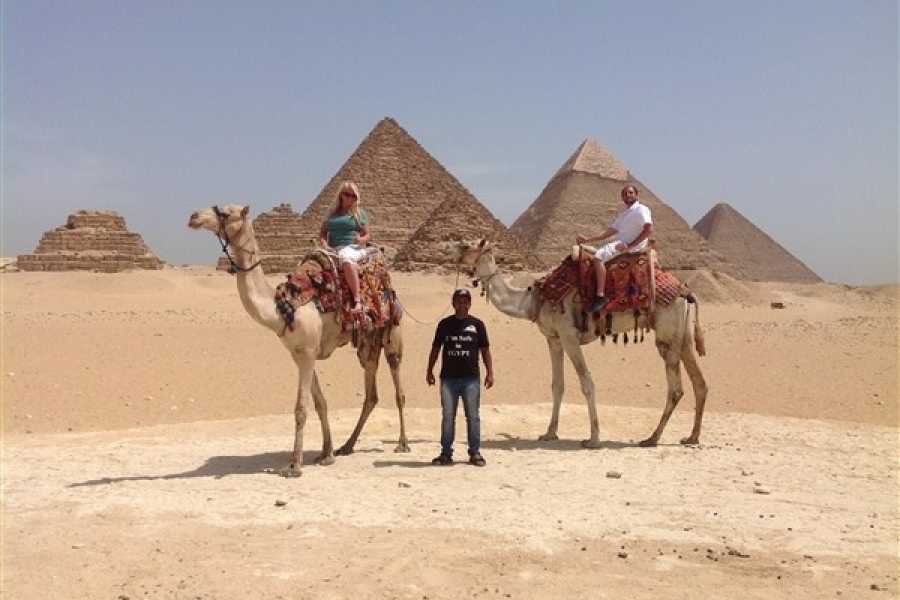 EMO TOURS EGYPT HALBTAG TOUR ZU GIZA PYRAMIDE VON CAMEL