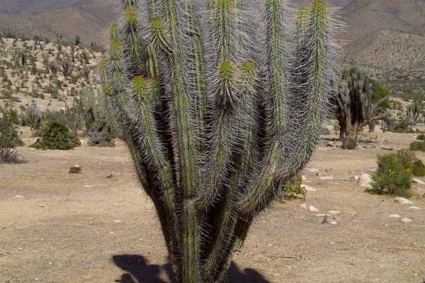 Desierto de Atacama en Moto